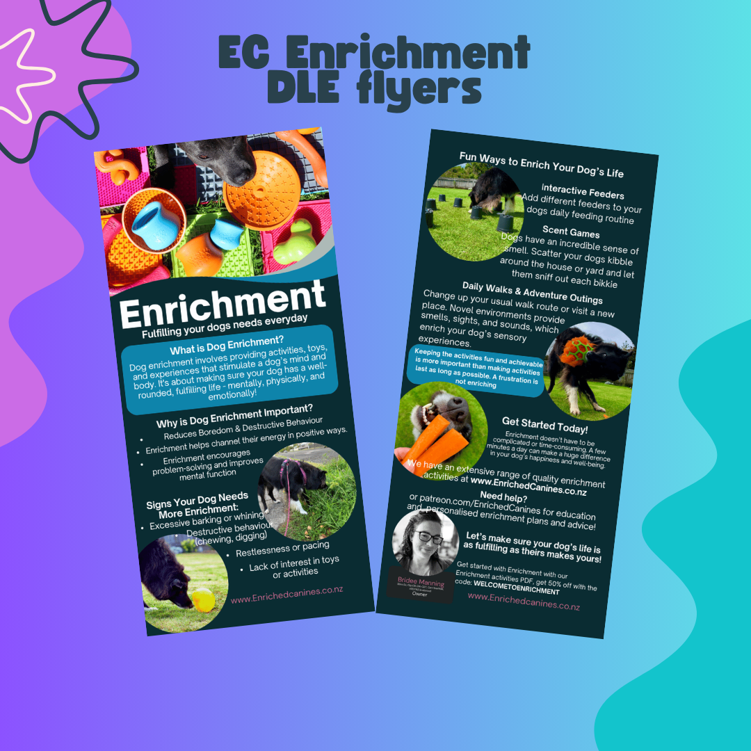 Enrichment - DLE flyers