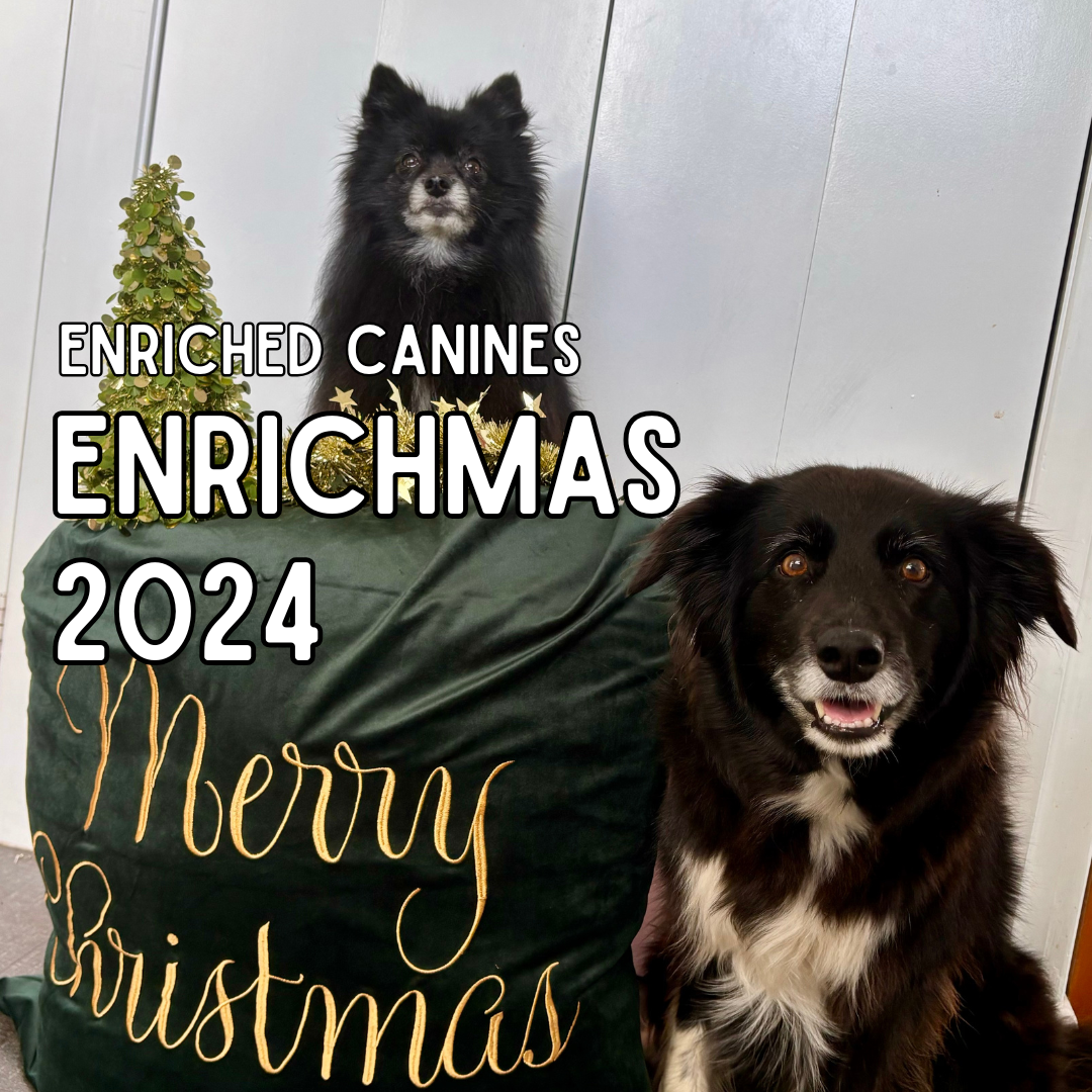 Enrichmas 2024